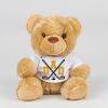 Bear in a t-shirt Thumbnail